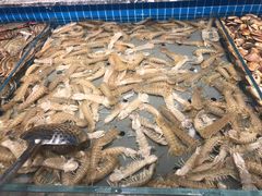 -一方渔歌蒸汽海鲜自助(文化路万达广场店)