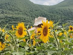 -攀枝花公园