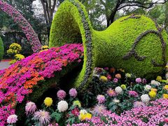 -杭州植物园