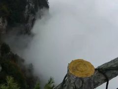 -秦岭天竺山景区