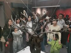 -荆州博物馆