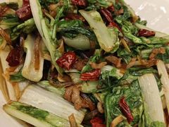 小白菜炒粉条-金春禧(世茂国际广场店)