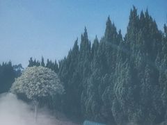 -南沙蒲洲花园