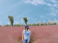 -汉长安城未央宫国家考古遗址公园