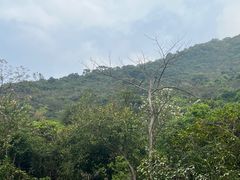 -梧桐山风景名胜区