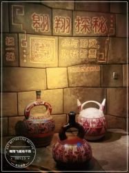 -翱翔飞越地平线