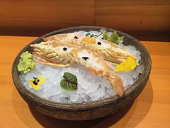 -月龍吟(朝龙汇店)