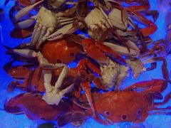 -好日子皇冠假日酒店·君怡咖啡厅(特美思大厦店)