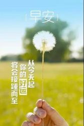-哈妮儿童摄影(德清店)