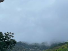 -涂山风景区