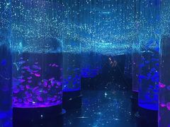 -哈尔滨波塞冬海底世界