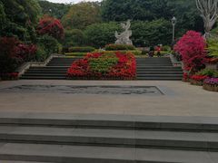 -金鸡山公园