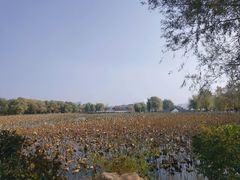 -长春市南湖公园