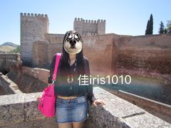 -阿尔罕布拉宫