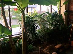 -国御温泉度假小镇