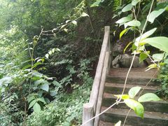 -太平万花山景区