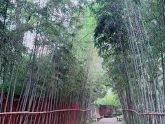 -新荣记(西溪湿地店)