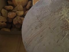 -Fruiffee Cafe 果啡派