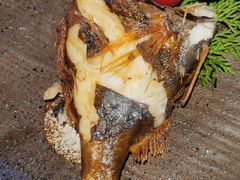 三文鱼-花潮料理艺食馆(SM新生活广场店)