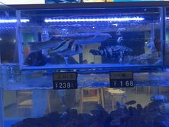 -海月湾海景餐厅( 嵊泗本地老字号店)