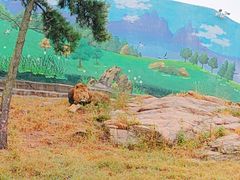 -西霞口神雕山野生动物世界