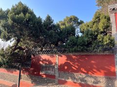 -泰山风景名胜区