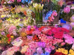 -花鸟鱼虫鲜花绿植市场(玉泉路店)
