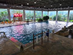 -明月山天沐温泉度假村