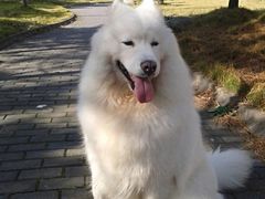 -骐奇宠物诊疗中心(南亭公路店)