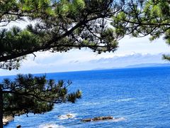 -南紀白浜 浜千鳥の湯 海舟