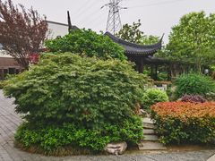 -苏州味道(阳澄湖服务区店)