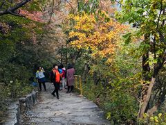 -北京上方山国家森林公园