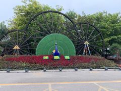 -呀路古热带植物园