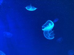 -多彩贵州城极地海洋世界