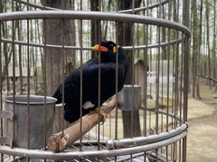 -昆山城市生态森林公园