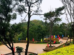 -飞凤山奥体公园