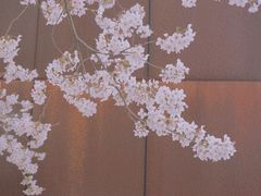 -龙美术馆(西岸馆)