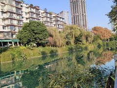 -沙河三洞古桥公园