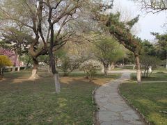 -辽宁大学(崇山校区)