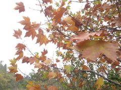 波罗峪休闲度假区-波罗峪风景区