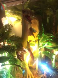 -恐龙探索乐园(磁器口店)