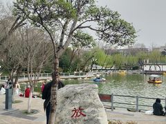 -莲湖公园