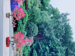 -乌山风景区