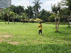 -东风公园