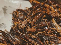 -壹加壹电烤串(总店)