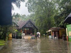 -莫里热带雨林景区
