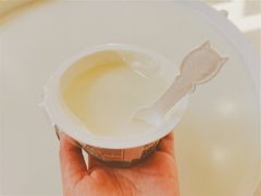 -狐狸家·酸奶酪专门店(平江路店)