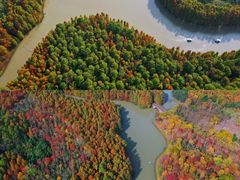 -上海海湾国家森林公园