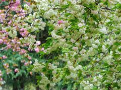 -白塘生态植物园
