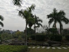 -龙舟池